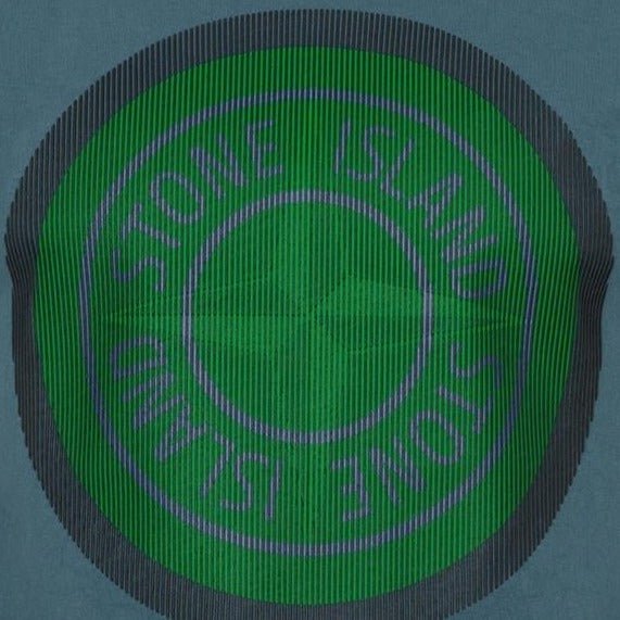 Stone Island Compass Printed Logo T-Shirt Blue & Green - Boinclo ltd