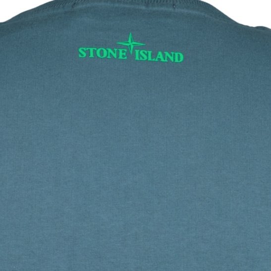 Stone Island Compass Printed Logo T-Shirt Blue & Green - Boinclo ltd