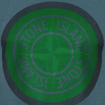 Stone Island Compass Printed Logo T-Shirt Blue & Green - Boinclo ltd