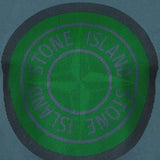 Stone Island Compass Printed Logo T-Shirt Blue & Green - Boinclo ltd